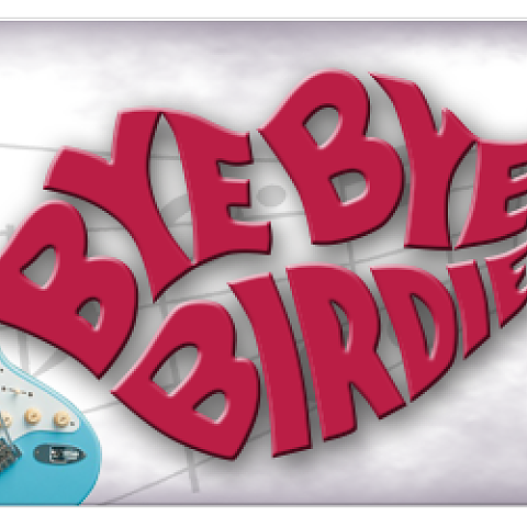 Bye Bye Birdie - June 2016